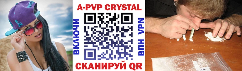 Альфа ПВП СК КРИС  где найти   Сосновый Бор 