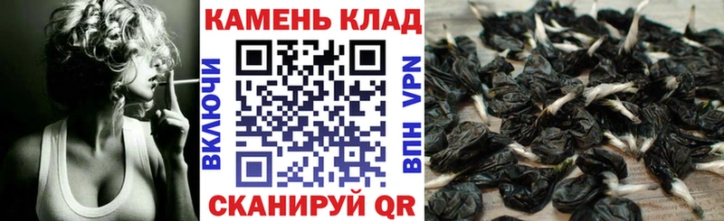 Гашиш 40% ТГК  Сосновый Бор 
