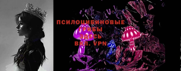apvp Кодинск