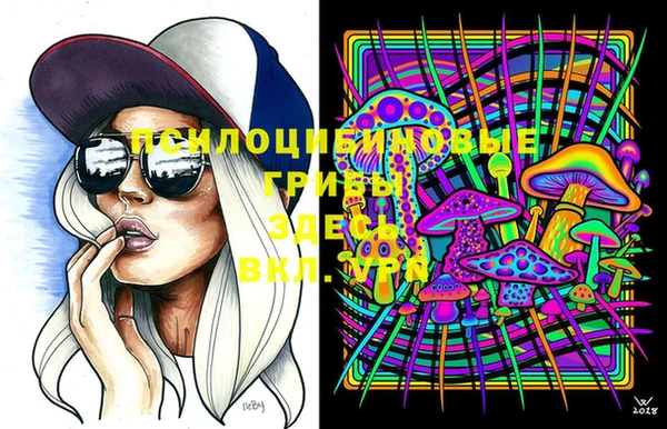 герыч Козельск
