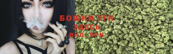 герыч Козельск
