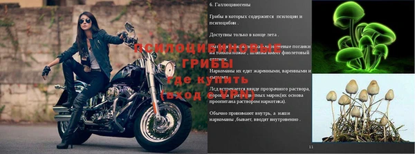 герыч Козельск