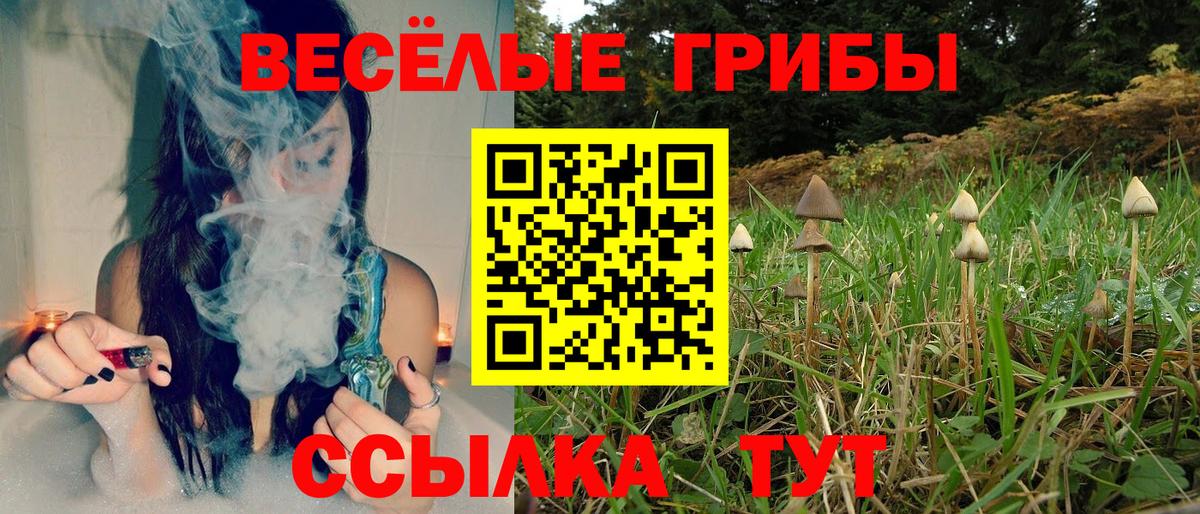 Галлюциногенные грибы Magic Shrooms Сосновый Бор