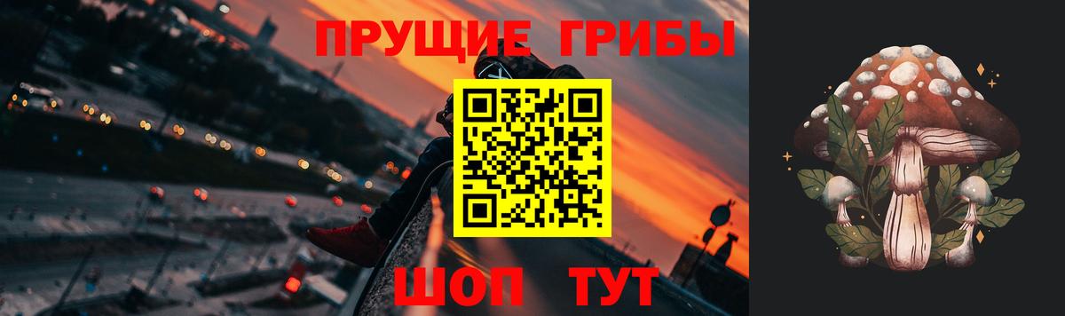 Сосновый Бор  Псилоцибиновые грибы мицелий  Псилоцибиновые грибы прущие грибы  купить наркоту  Вход с VPN 